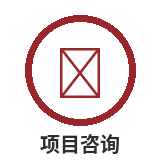 项目咨询